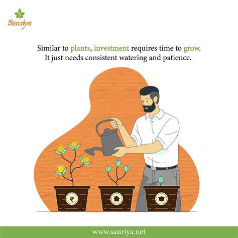 Best Investment Strategies for Young Investors