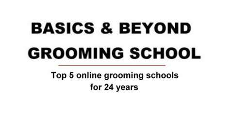 BeyondtheBasics:Grooming,Toys,andLifestyleNeeds