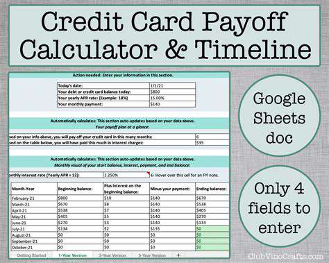 AdvancedDebtPayoffCalculatorOptions