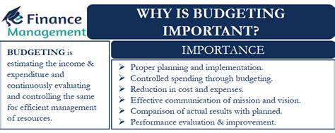 Introduction:WhyBudgetingSoftwareisCrucialforFamilies