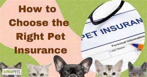 Best Pet Insurance for Pre Existing Conditions (If Available)